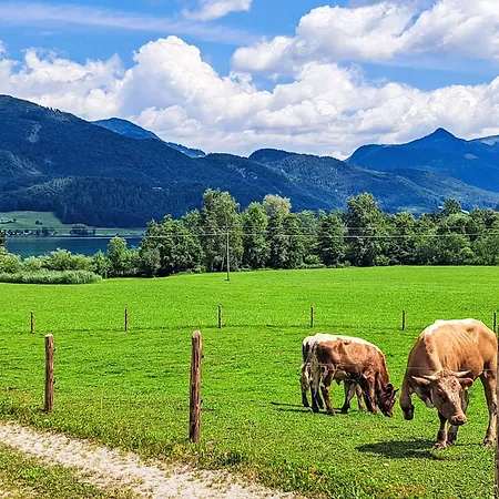 Appartamento 306 Berglick By Interhome